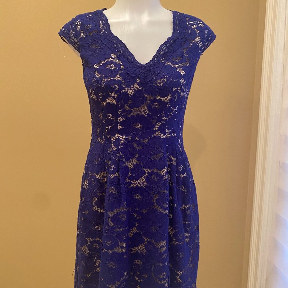 Vince Camuto Royal Blue Lace Fit & Flare Dress